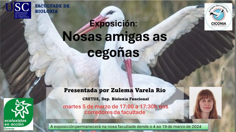 Cartel da mostra