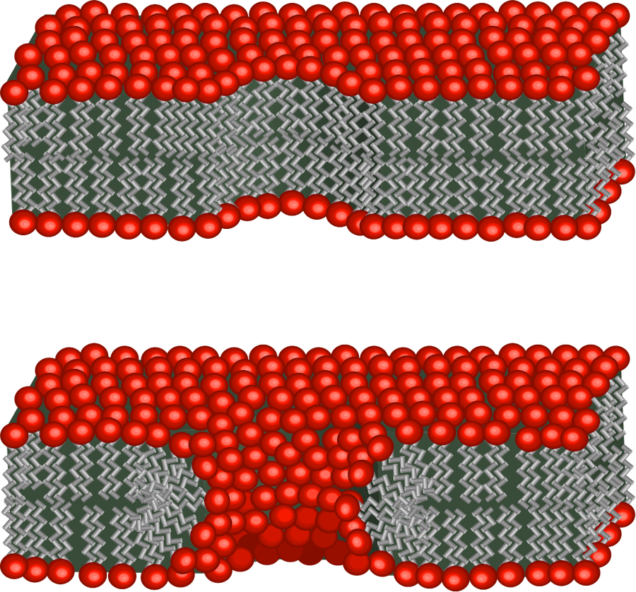 Pore_schematic