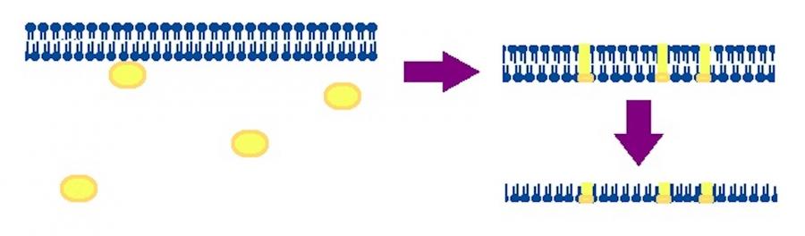 nano-mb