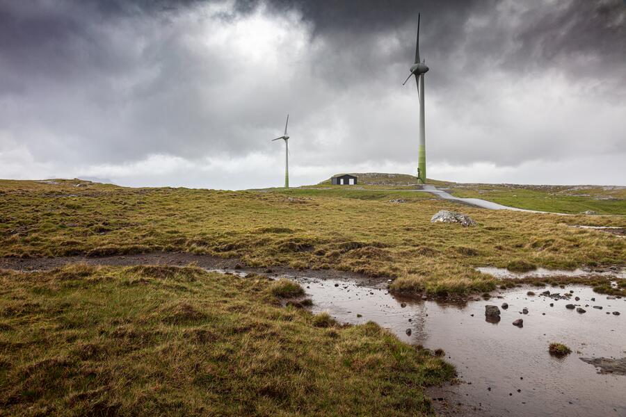 Peatlands and heathlands are the largest long-term carbon sequestration sinks