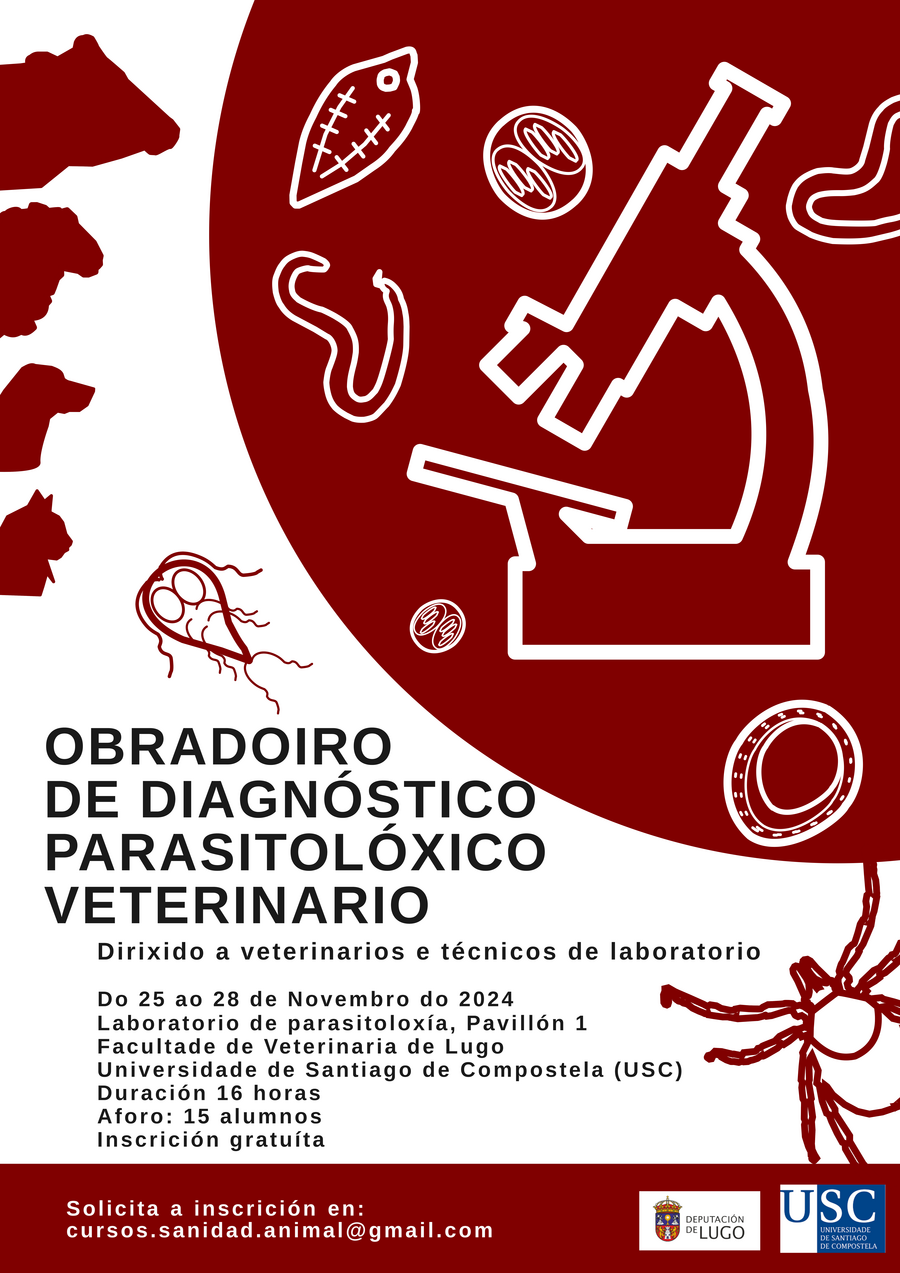 Cartel da actividade
