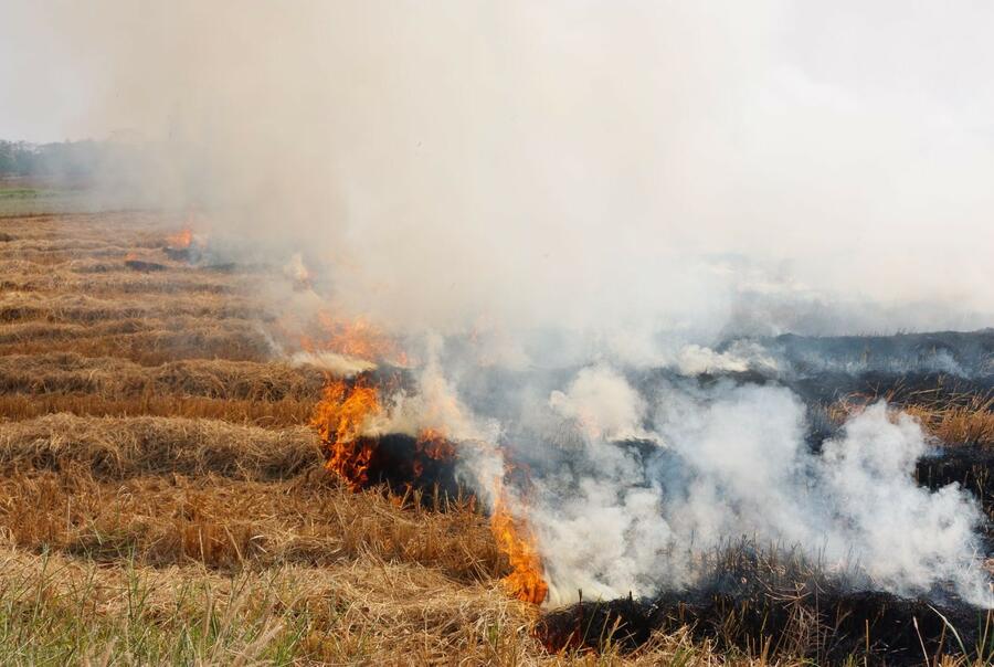 Our ancestors perfected the technique of fire in order to use the land for livestock and agriculture