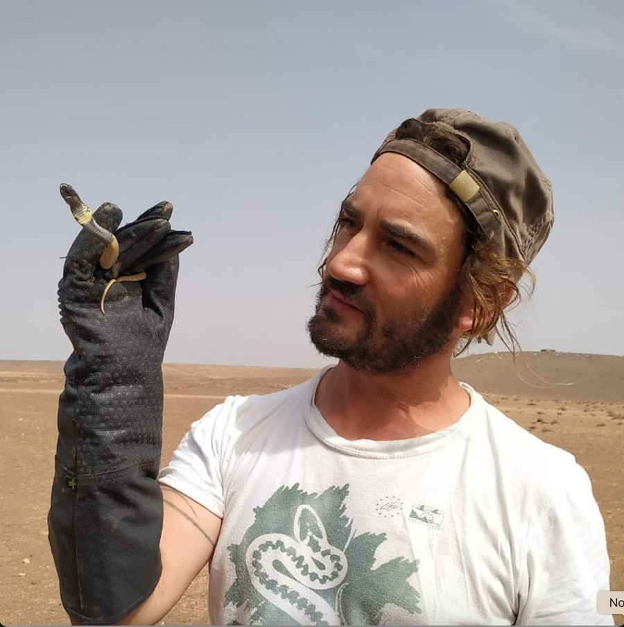 Fernando Martínez Freiría