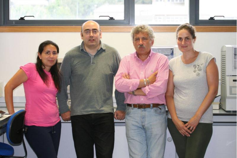 Investigadores da USC avanzan no deseño de cristais fotónicos, que poderían substituír no futuro a fibra óptica e os circuítos electrónicos