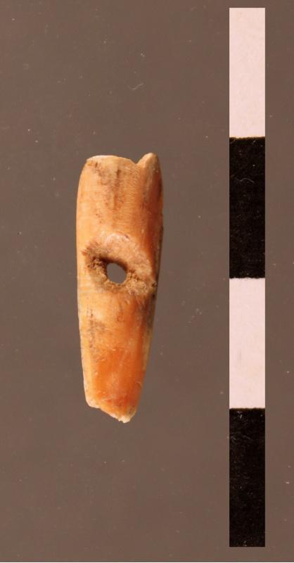 Un colgante atopado en Cova Eirós evidencia a presenza humana no noroeste peninsular nos momentos máis rigorosos da última glaciación