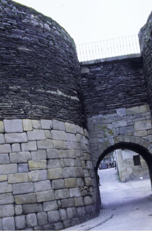Unha investigación da EPS busca unha solución eficaz e sen efectos negativos contra as malas herbas da Muralla de Lugo