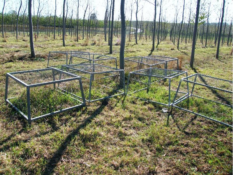 Investigadores da EPS demostran os beneficios do emprego de especies animais para a limpeza do monte  