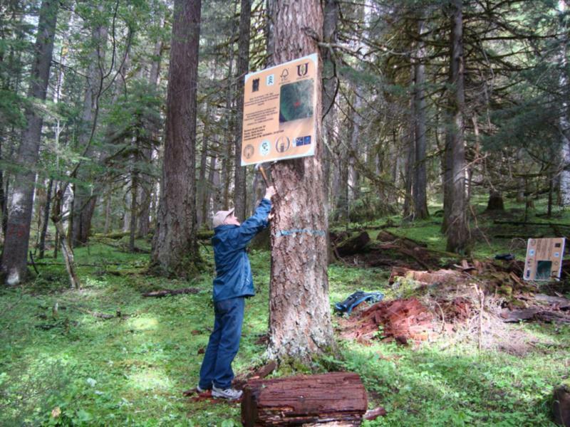 A Unidade de Xestión Forestal Sostible da EPS de Lugo colabora na elaboración do primeiro inventario forestal nacional de México