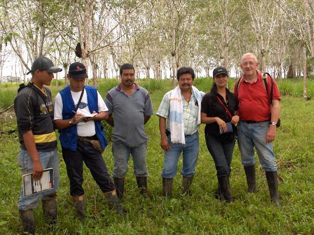 A Escola Politécnica Superior de Lugo traballa na viabilidade da certificación FSC para plantacións de caucho en Colombia e Brasil