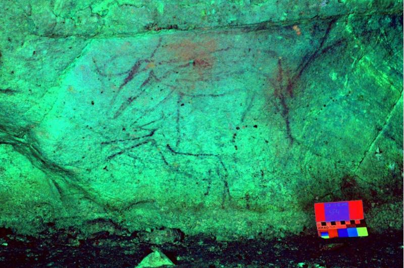Descobren na Cova Eirós de Triacastela as primeiras evidencias de arte rupestre paleolítico no noroeste peninsular