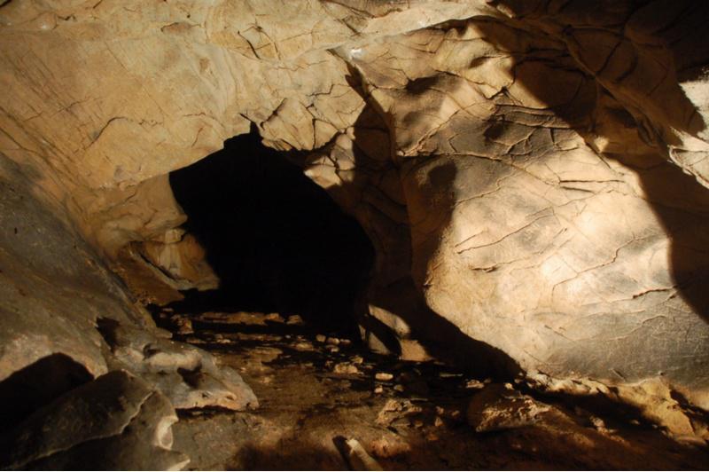 Descobren na Cova Eirós de Triacastela as primeiras evidencias de arte rupestre paleolítico no noroeste peninsular
