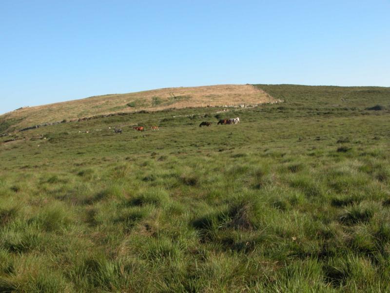 Un estudo do grupo EPEC-ES2 da USC sitúa no período romano o clímax pre-industrial de contaminación atmosférica por metais traza no norte peninsular