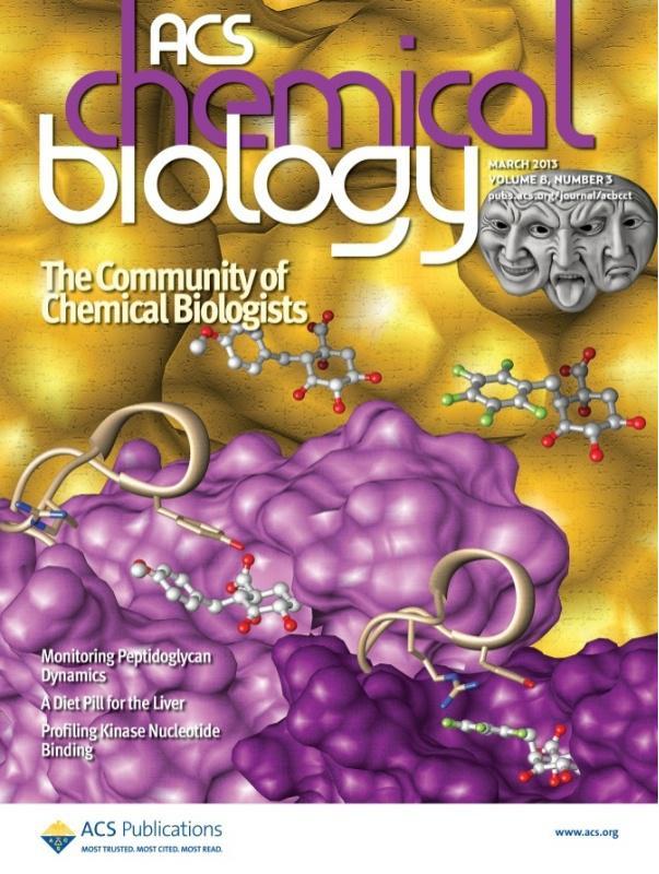 Publican claves para "matar de fame" bacterias que causan tuberculose e cancro de estómago 