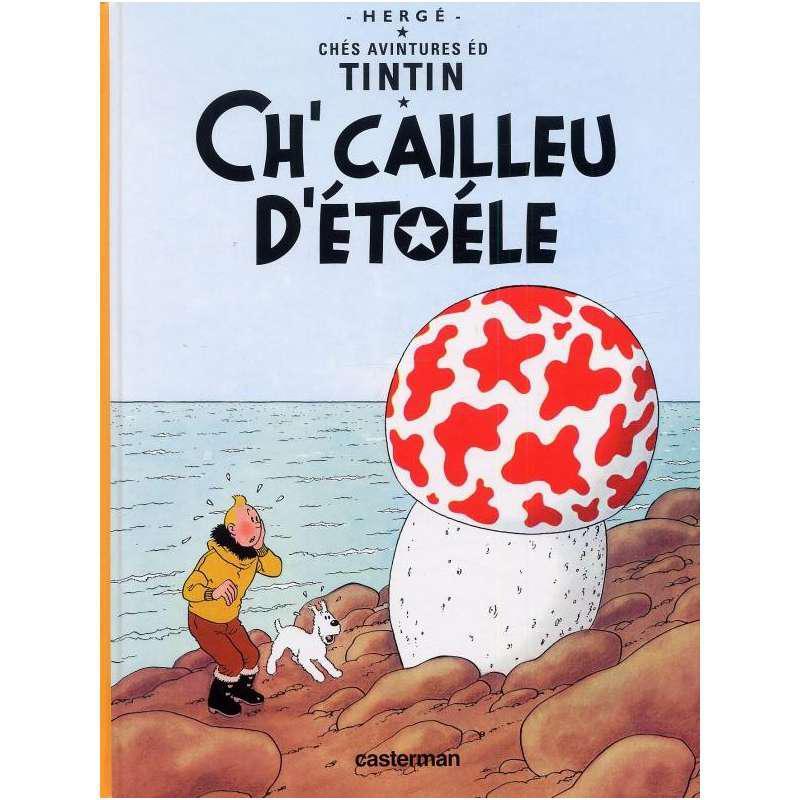 O mundo de Tintín enche de linguas e aventuras a Biblioteca da Diversidade Cultural de campUSCulturae 