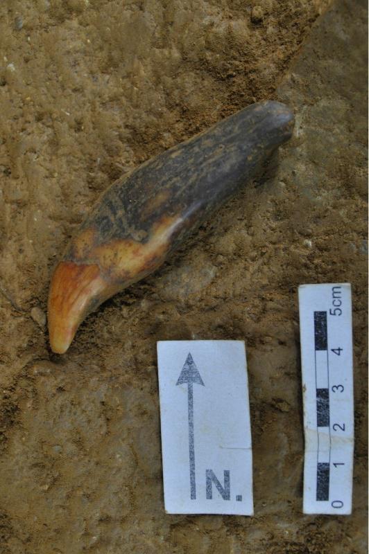 As escavacións de Cova Eirós afondan sobre un dos períodos menos coñecidos da prehistoria galega
