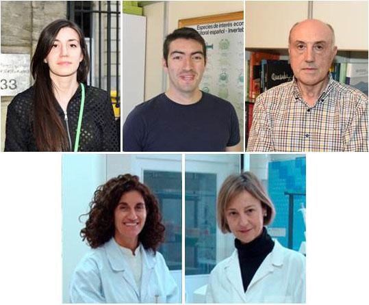 Parasitólogos galegos perfeccionan a diagnose da fasciolose humana e animal