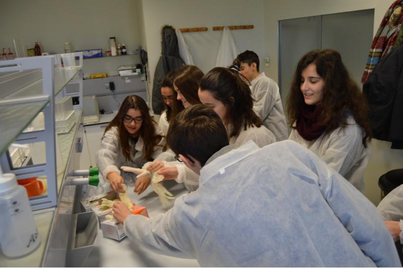‘Ciencia para xoves investigadores’ inicia no mundo da experimentación a medio centenar de estudantes do Colexio Padres Franciscanos de Lugo