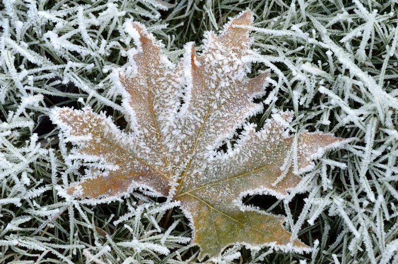 O inverno comeza na noite do venres 