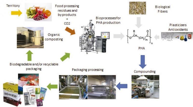 A USC participa nun proxecto internacional para producir plásticos biodegradables nun marco de economía circular
