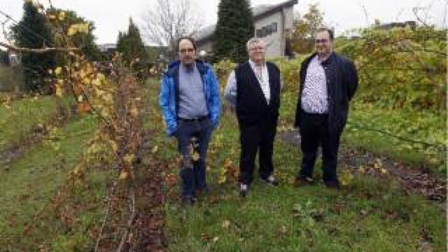 El Campus Terra de la USC participa en un proyecto de mejora del sistema vitivinícola español financiado con cerca de 7,5 millones