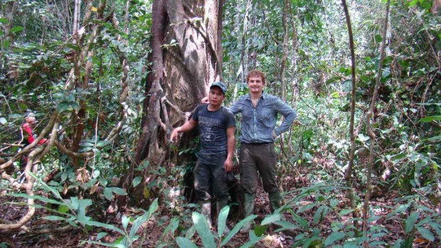 El Campus Terra de la USC desarrolla un método para cuantificar las emisiones de carbono derivadas de la degradación forestal