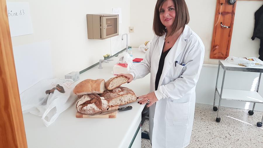 La Universidad de Valencia reconoce las buenas prácticas de la Cátedra del Pan y del Cereal en materia de divulgación y difusión 