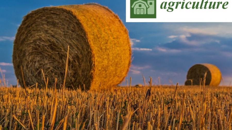 O Campus Terra impulsa unha rede internacional sobre agricultura e silvicultura