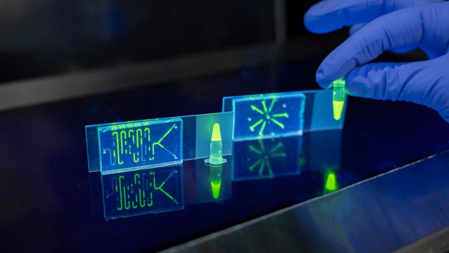 Tecnoloxía a baixo custo fronte á COVID dende o Campus Terra