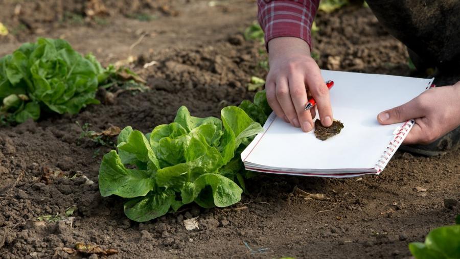 A produción ecolóxica, a enerxía que move ao Campus Terra