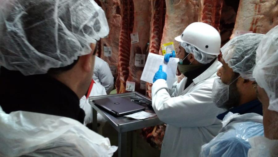 O Campus Terra aborda a produción de carne de vacún de calidade en Galicia