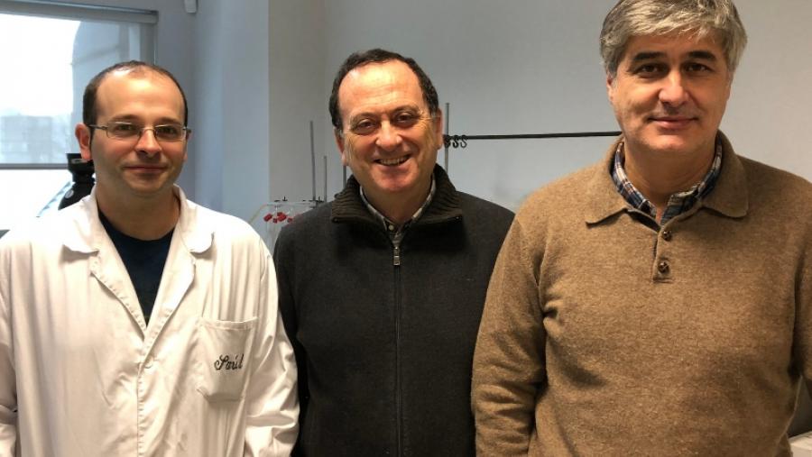 Constatan la influencia de las aves marinas sobre el ciclo global del nitrógeno y el fósforo 