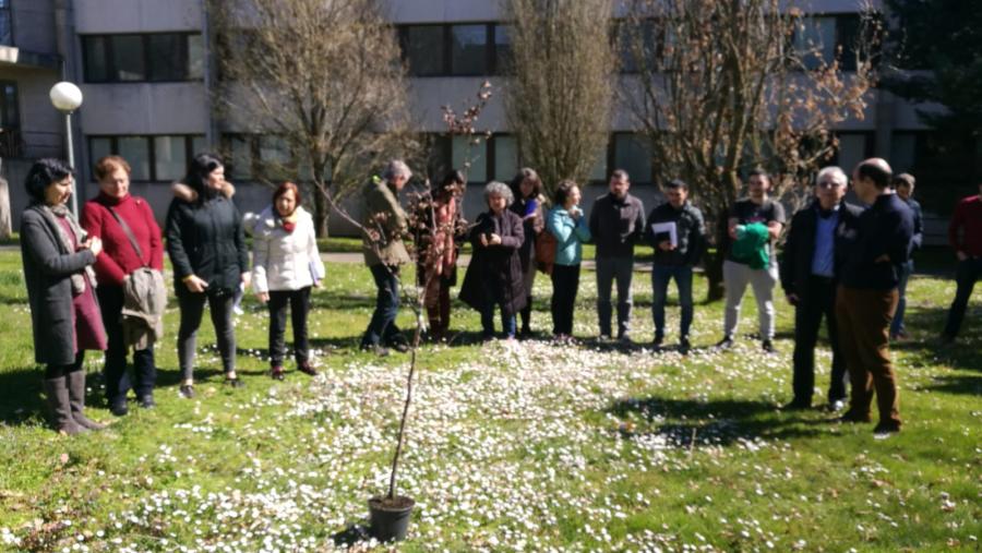 A EPS de Enxeñaría reivindica a figura dos e das enxeñeiras forestais no Día Internacional dos Bosques A EPS de Enxeñaría reivindica a figura dos e das enxeñeiras forestais no Día Internacional dos Bosques