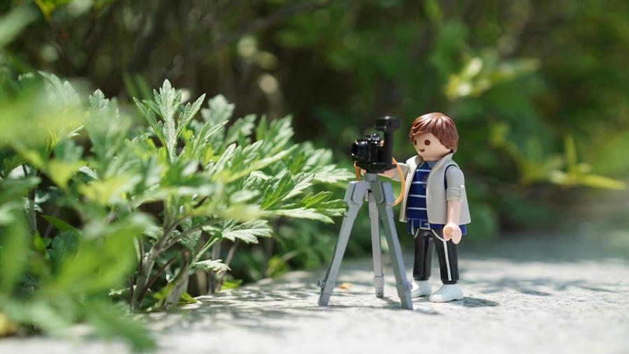 El Campus Terra amplía hasta el 29 de septiembre la inscripción en el taller de fotografía química que se desarrollará en Veterinaria El Campus Terra amplía hasta el 29 de septiembre la inscripción en el taller de fotografía química que se desarrollará en Veterinaria