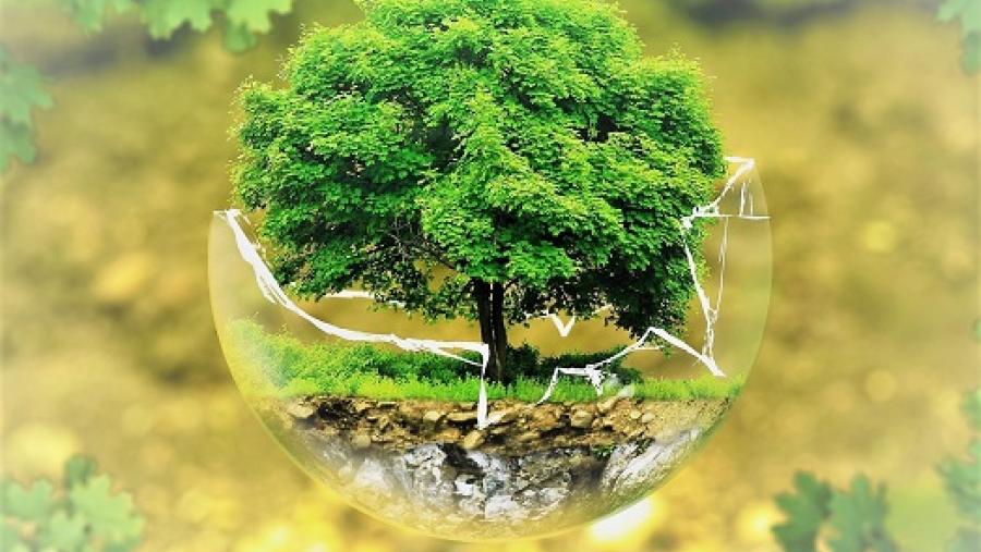 Últimos días para inscribirse en las jornadas sobre Genómica y gestión de la biodiversidad que organiza el Campus Terra de la USC Últimos días para inscribirse en las jornadas sobre Genómica y gestión de la biodiversidad que organiza el Campus Terra de la USC