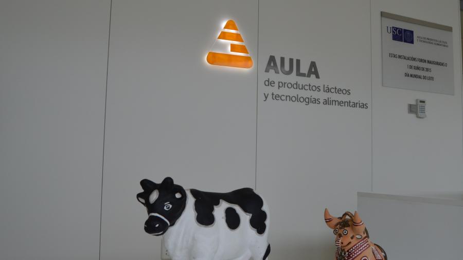 Vaca leiteira e toro representivo de Perú, na Aula de Produtos Lácteos da USC