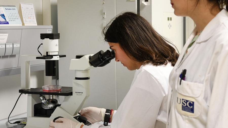 Laboratorio da USC. Imaxe de arquivo. FOTO: Santi Alvite