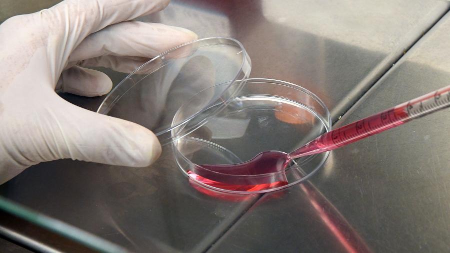 A USC lidera dous proxectos de vacina a través do seu Centro Singular de Investigación en Química Biolóxica e Materiais Moleculares (CiQUS) A USC lidera dous proxectos de vacina a través do seu Centro Singular de Investigación en Química Biolóxica e Materiais Moleculares (CiQUS)