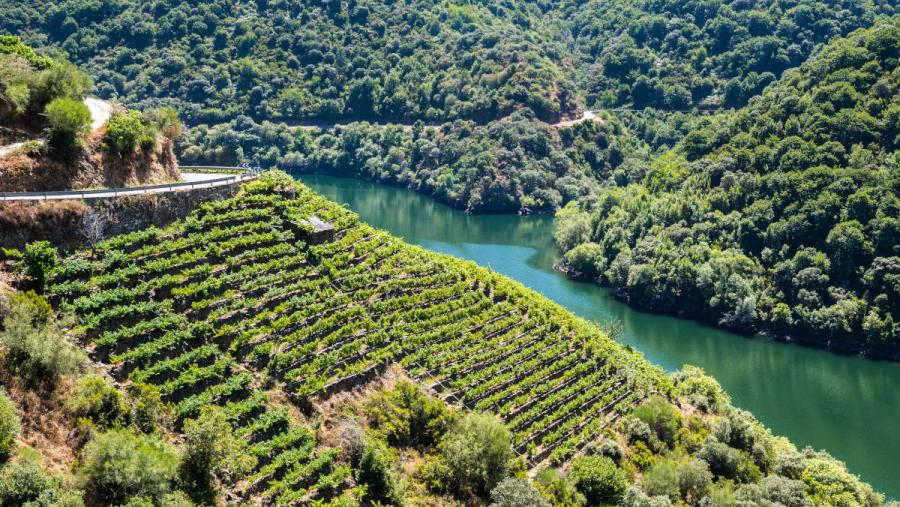 Vista aérea dunha paisaxe da Ribeira Sacra