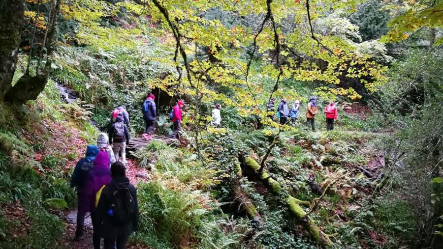 Alumnado e docentes do máster DAEN, nunha expedición pola natureza Alumnado e docentes do máster DAEN, nunha expedición pola natureza