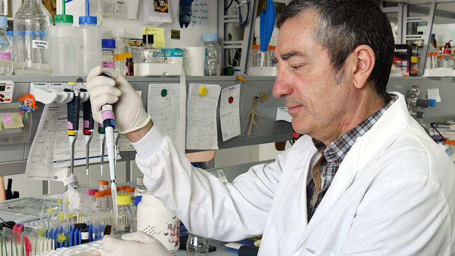 O de Martínez Costas é un dos dez proxectos que o Instituto de Salud Carlos III financia en España para obter unha vacina contra o coronavirus. FOTO: Santi Alvite O de Martínez Costas é un dos dez proxectos que o Instituto de Salud Carlos III financia en España para obter unha vacina contra o coronavirus. FOTO: Santi Alvite