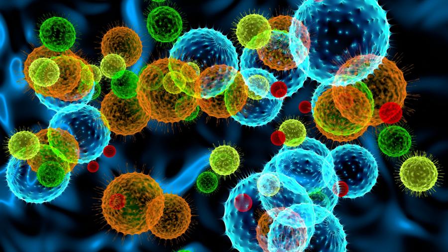 Celtarys Research deseña e produce ferramentas químicas fluorescentes, sensibles e específicas, mediante unha tecnoloxía respectuosa co medio ambiente que permite substituír o uso da radioactividade Celtarys Research deseña e produce ferramentas químicas fluorescentes, sensibles e específicas, mediante unha tecnoloxía respectuosa co medio ambiente que permite substituír o uso da radioactividade