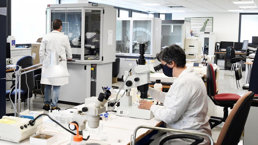 Esta é a terceira versión que se publica desta base de datos integrada por máis de 180.000 científicos e científicas. FOTO: Santi Alvite Laboratorio da USC