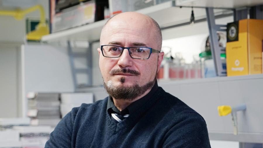 David Araújo Vilar pertence ao Centro de Investigación en Medicina Molecular e Enfermidades Crónicas da USC David Araújo