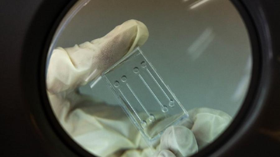 Esta rolda de investimento destinarase ao desenvolvemento e lanzamento de modelos específicos no mercado farmacéutico Esta rolda de investimento destinarase ao desenvolvemento e lanzamento de modelos específicos no mercado farmacéutico