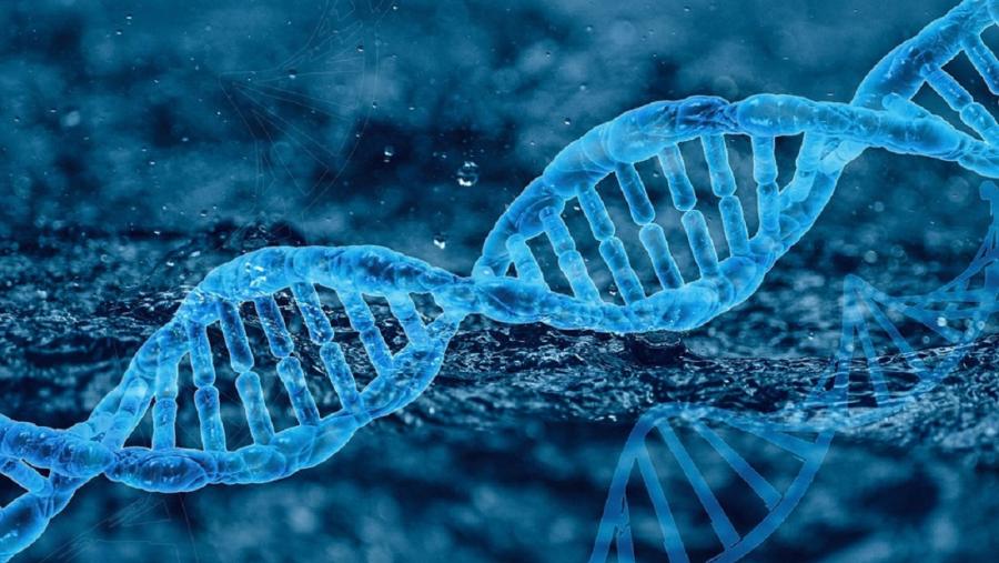 O achado é froito do traballo do grupo Repair and Genome Integrity do Centro de Investigación en Medicina Molecular e Enfermidades Crónicas da USC (CiMUS). IMAXE: Pixabay O achado é froito do traballo do grupo Repair and Genome Integrity do Centro de Investigación en Medicina Molecular e Enfermidades Crónicas da USC (CiMUS). IMAXE: Pixabay