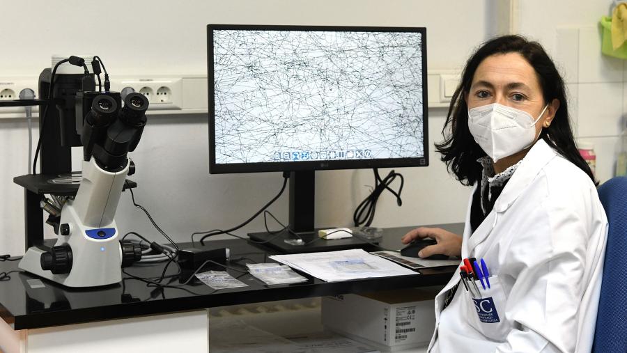 A xuntanza organizada por membros do grupo I+DFarma, coordinados por Carmen Alvarez Lorenzo, acollerá a máis de 50 investigadores. FOTO: Santi Alvite A xuntanza organizada por membros do grupo I+DFarma, coordinados por Carmen Alvarez Lorenzo, acollerá a máis de 50 investigadores. FOTO: Santi Alvite