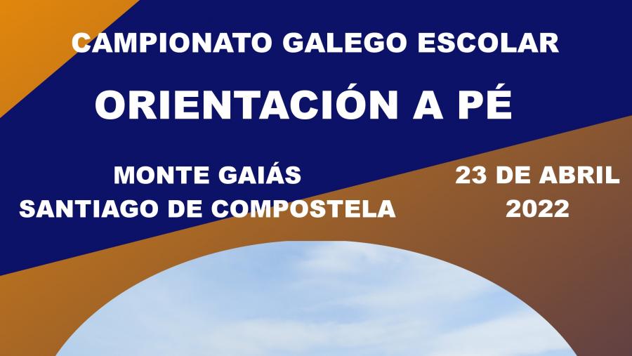 Cartel do evento