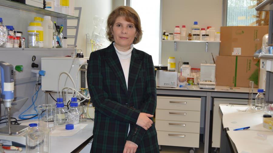 Asteria Luzardo, nun laboratorio da Facultade de Ciencias do Campus de Lugo da USC