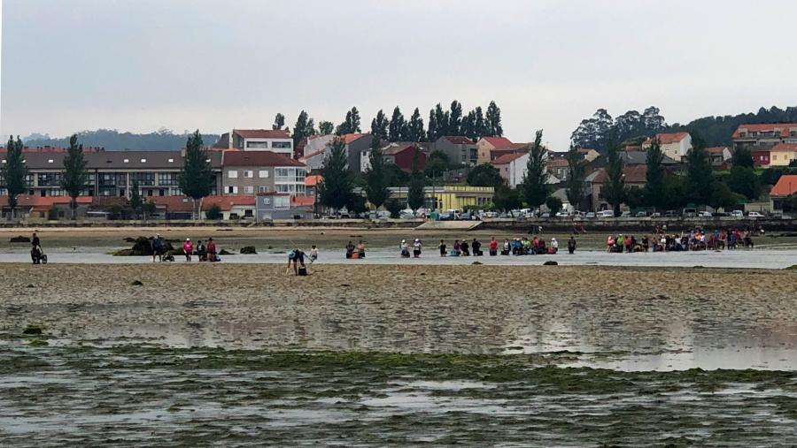 Galicia xa desenvolveu un amplo rango de estratexias de adaptación, como son a colleita de especies de alto valor comercial e de maior abundancia nos bancos marisqueiros Galicia xa desenvolveu un amplo rango de estratexias de adaptación, como son a colleita de especies de alto valor comercial e de maior abundancia nos bancos marisqueiros