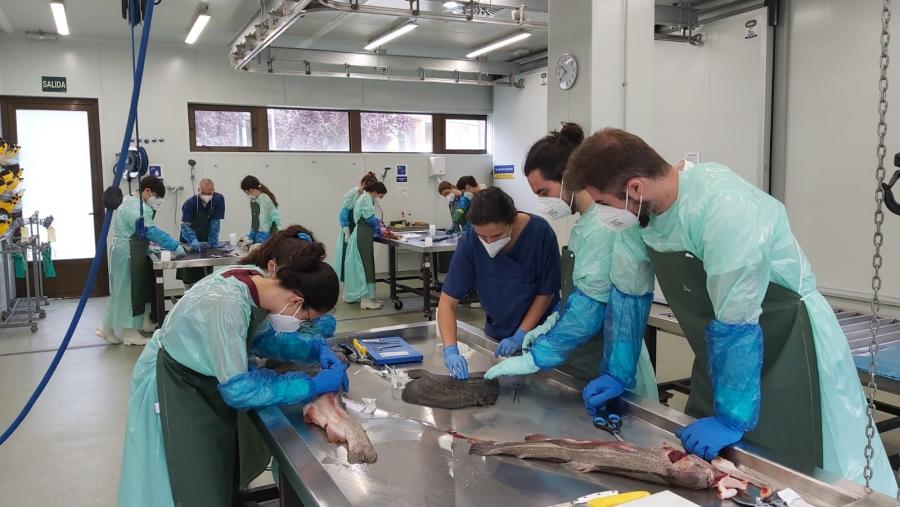 Participantes na sesión de dianóstico de enfermidades en peixes, en Veterinaria Participantes na sesión de dianóstico de enfermidades en peixes, en Veterinaria